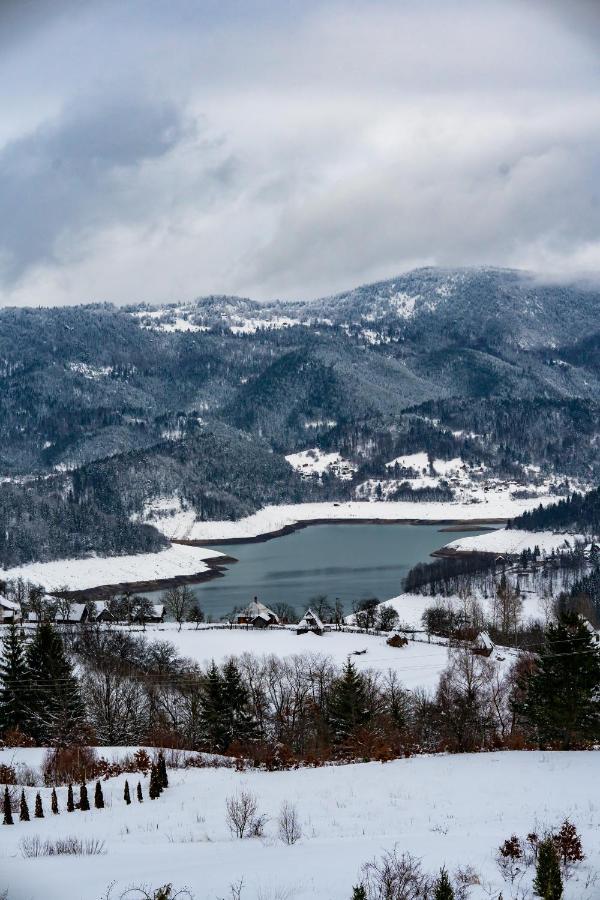 Idila Zaovinskog Jezera Villa Zaovine Dış mekan fotoğraf